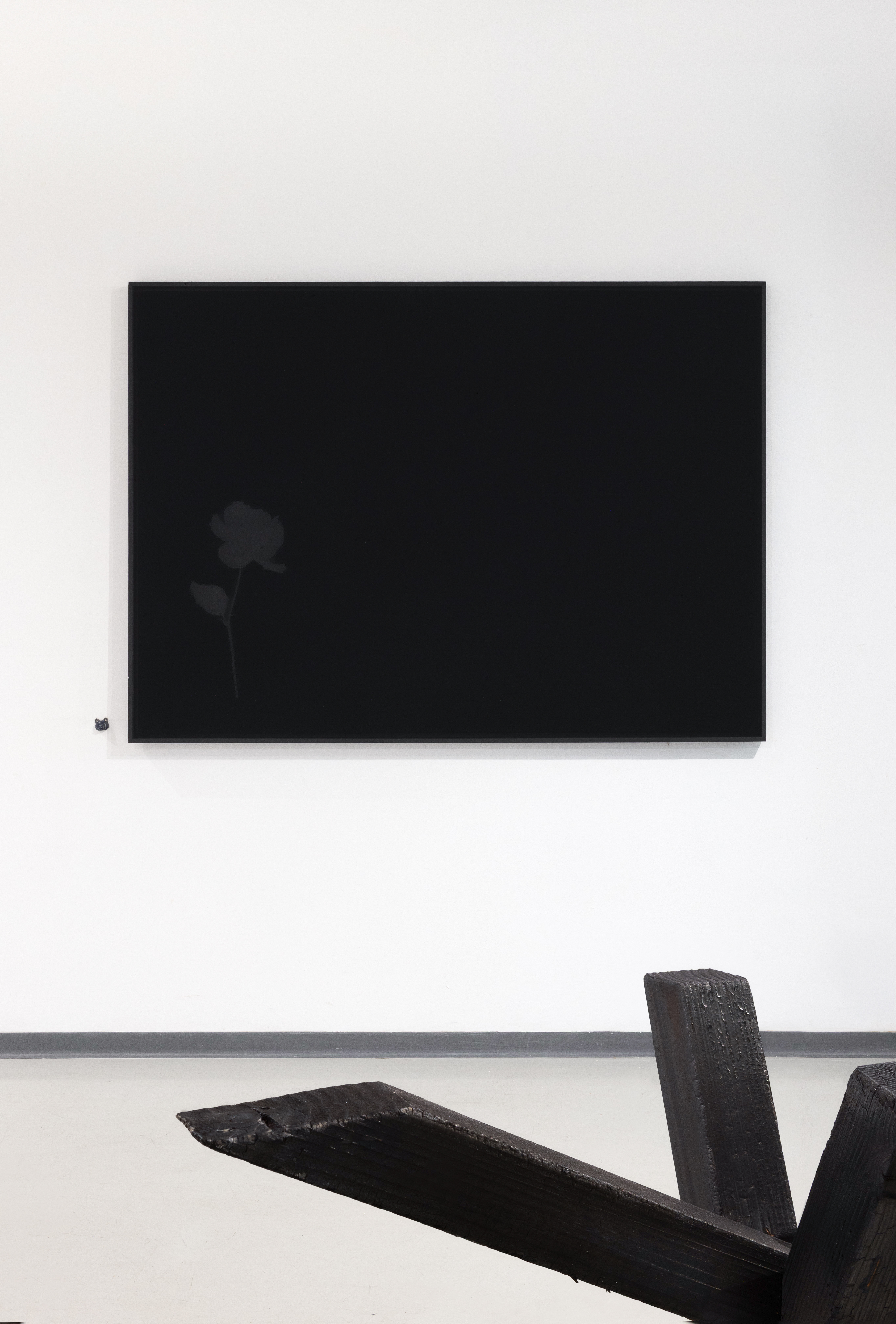 Ein schwarzes Bild einer schemenhaften Rose