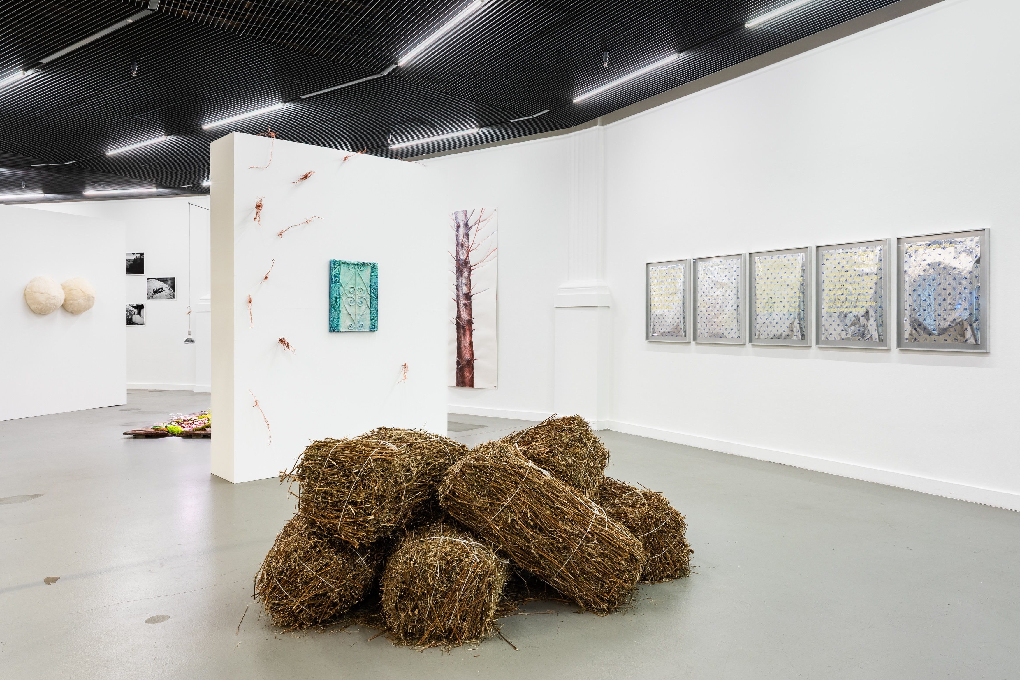 Ausstellungsansicht «Crossroad – Home in Motion», Foto: Kilian Bannwart
