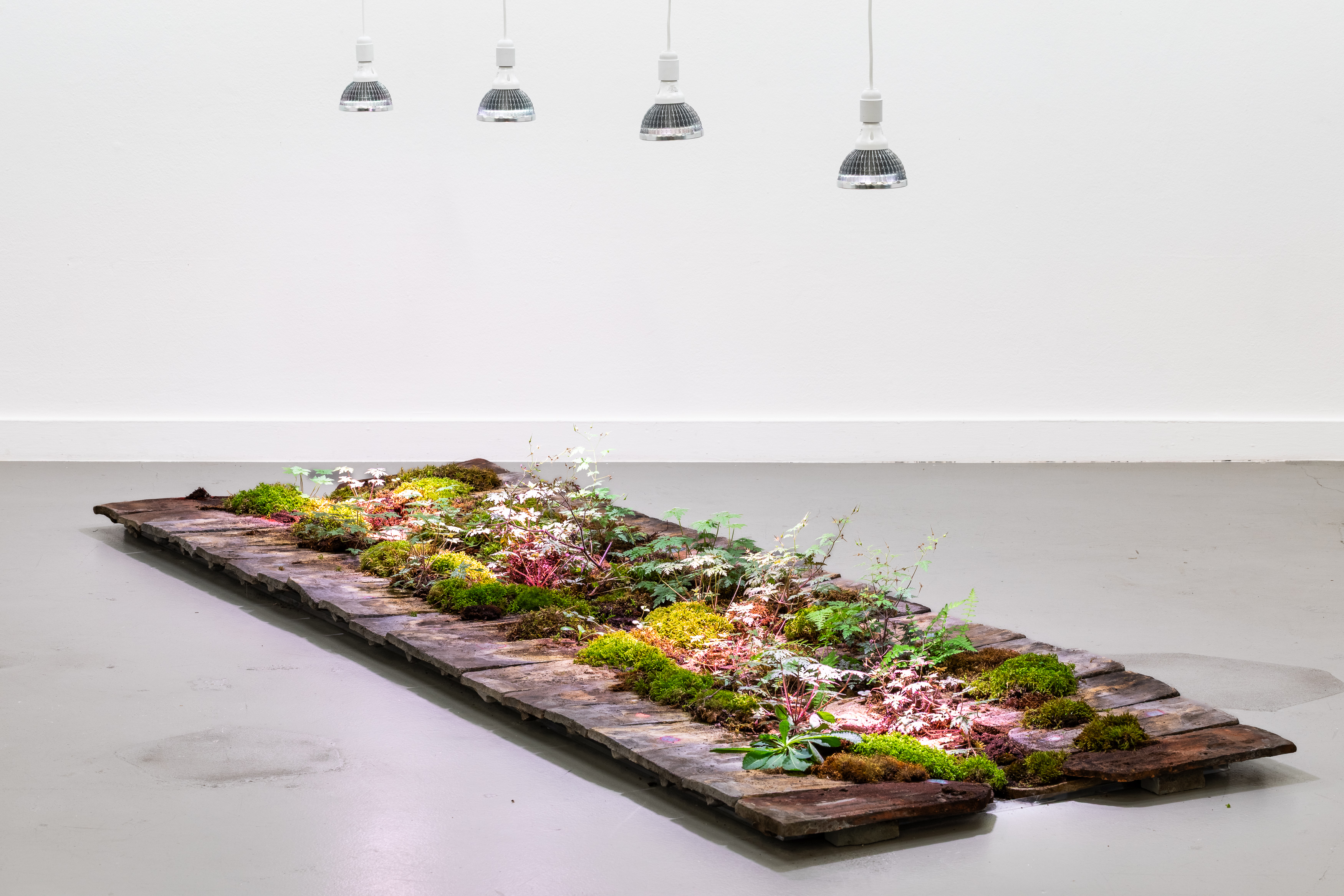 Yvonne Christen Vagner «Roof Tile » 2026, Foto : Kilian Bannwart