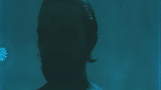 Die Silhouette eines Kopfes in Dämmerungslicht