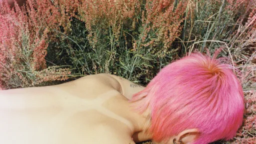 Zwei Menschen liegen Gesicht voran in einer Wiese. Eine Person hat rosa Haare, die andere schwarz.