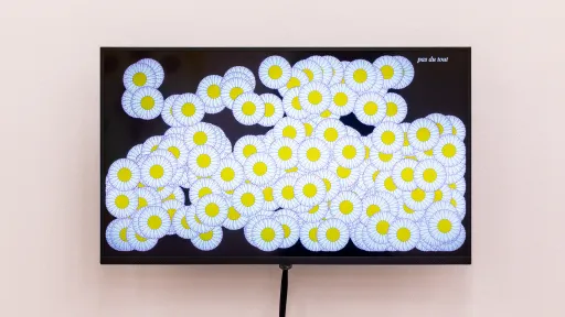 Amanda E. Metzger «Effeuiller Les Marguerites», 2025 Foto : Kilian Bannwart, 2025 - ein Bildschirm an der Wand zeigt ein Muster aus grafischen Gänseblumen