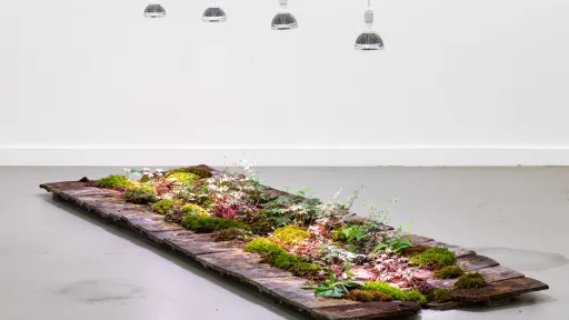 Yvonne Christen Vagner «Roof Tile » 2026, Foto : Kilian Bannwart